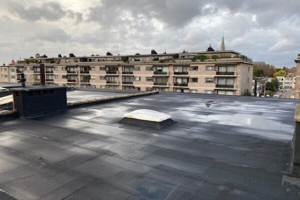 dakwerken-roofing